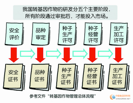 我國轉(zhuǎn)基因作物管理大致流程