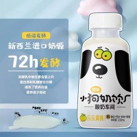 團友小奶狗風(fēng)味乳酸菌網(wǎng)紅低脂肪飲品