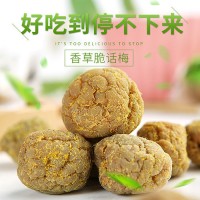 莫干山香草脆話(huà)梅小包裝零食咸脆青梅干果脯蜜餞